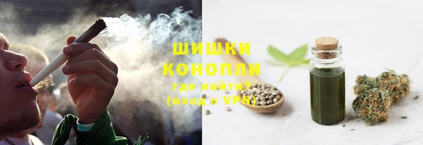 твердый Корсаков