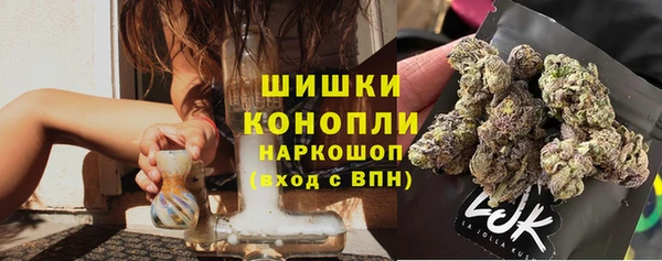 твердый Корсаков