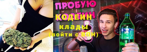 твердый Корсаков