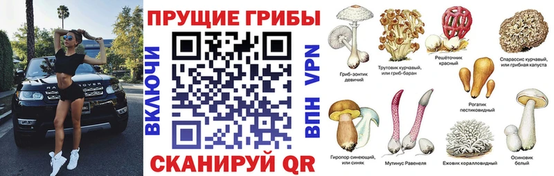 Галлюциногенные грибы Magic Shrooms  Купить  Заречный 